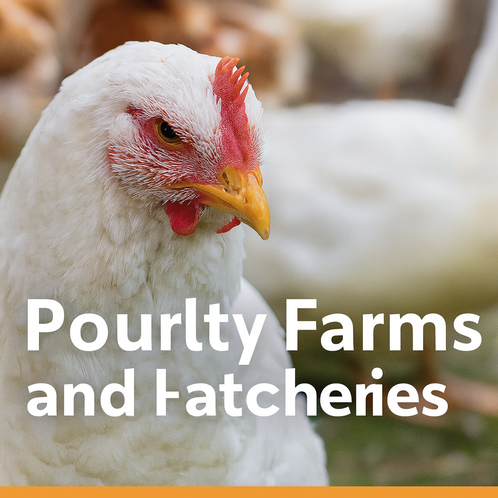 Poultry Farms and Hatcheries